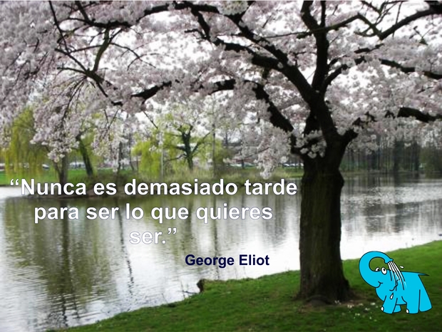 Una Enseñanza de la Escritoro Británica Jeorge Eliot en la Frase del Día del Elefante Azul de Avilés.